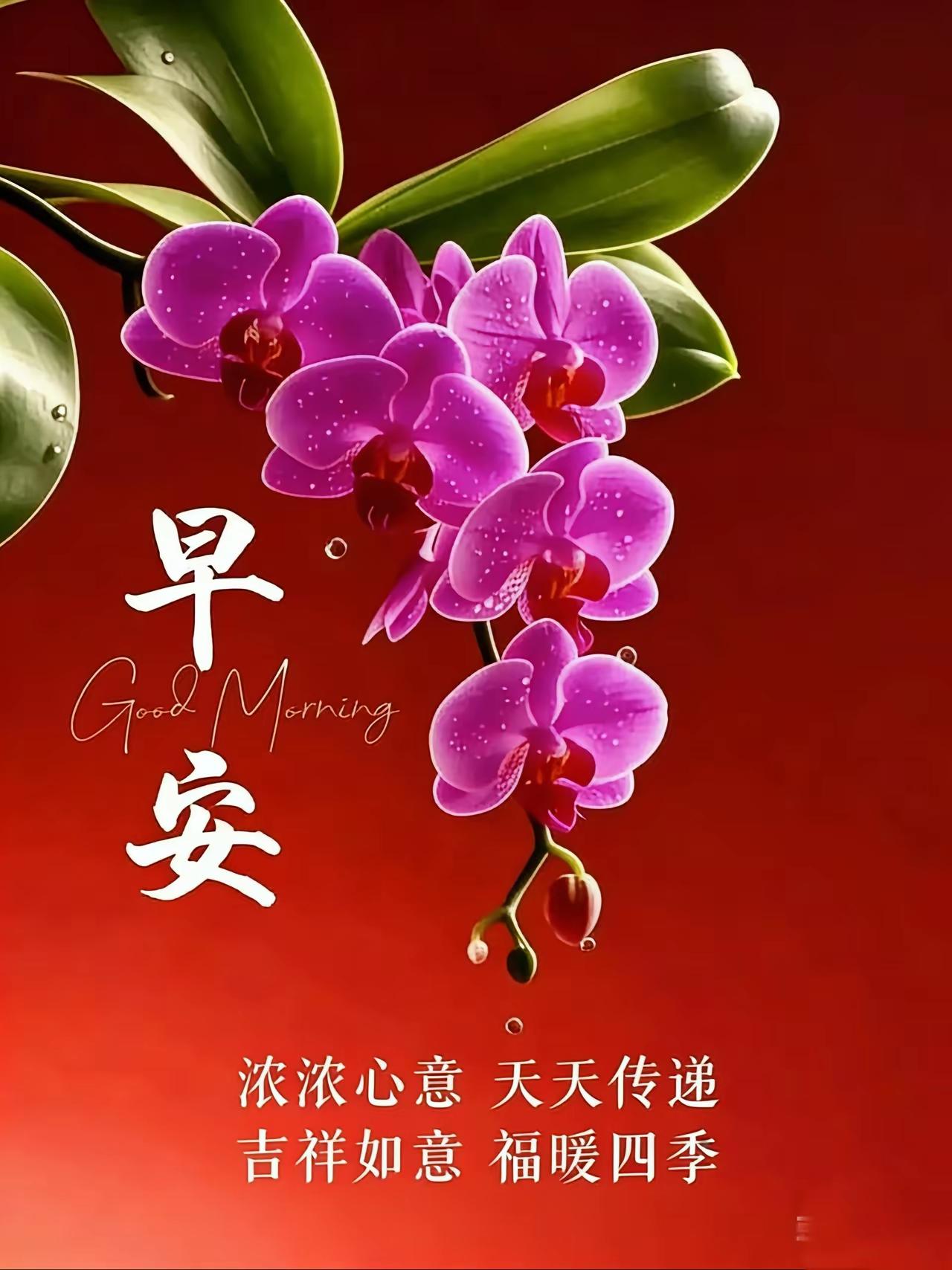 分享早晨的祝福语清晨阳光暖乎乎，新的一天来啦！愿你晨起有好心情，干啥都顺顺利利，