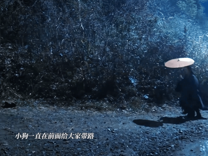 这剧咋连狗都有演技七年多的生命里，大黄把大部分时间都献给了镜头。它的工龄比很多