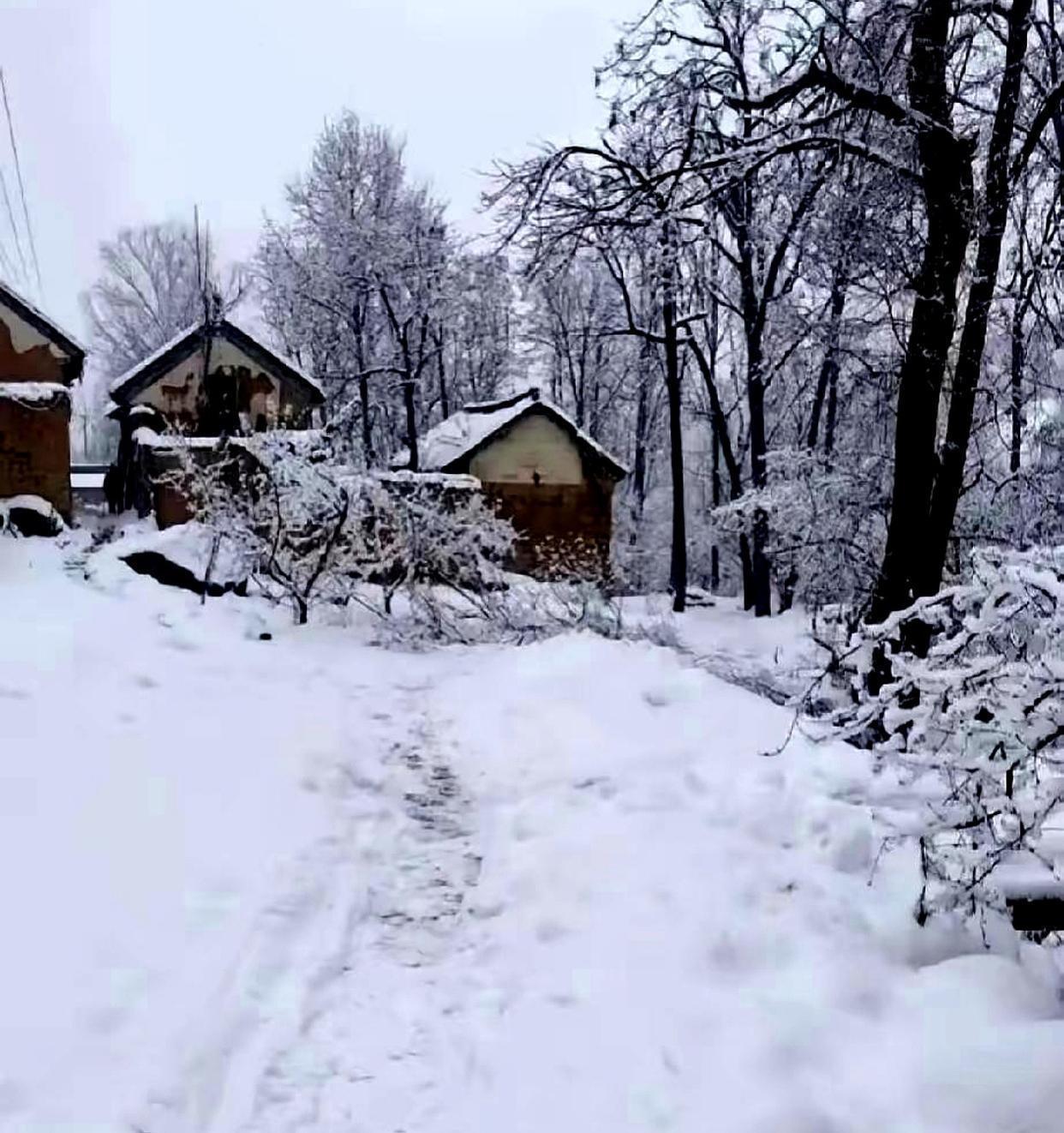 刷到2026年春节日期直接惊到弹起来！大年初一居然是2月17号，这时间也太晚了吧