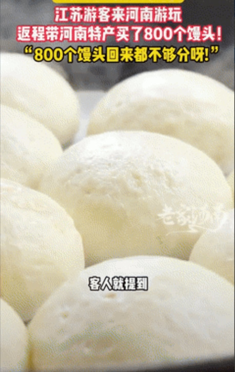 馋晕了!江苏一家13口来洛阳旅游，返程前花了400块买了800个馒头，坐上高铁后