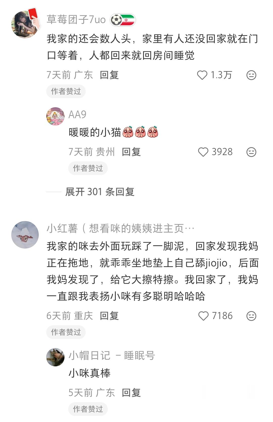 小猫居然分得清睡衣和出门衣服小咪真的很可爱啊而且还很聪明这个世界上根本就不能