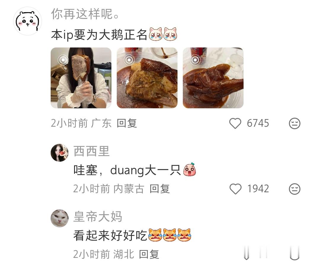 大鹅的风评被害鹅腿和鸭腿差的真的蛮明显的