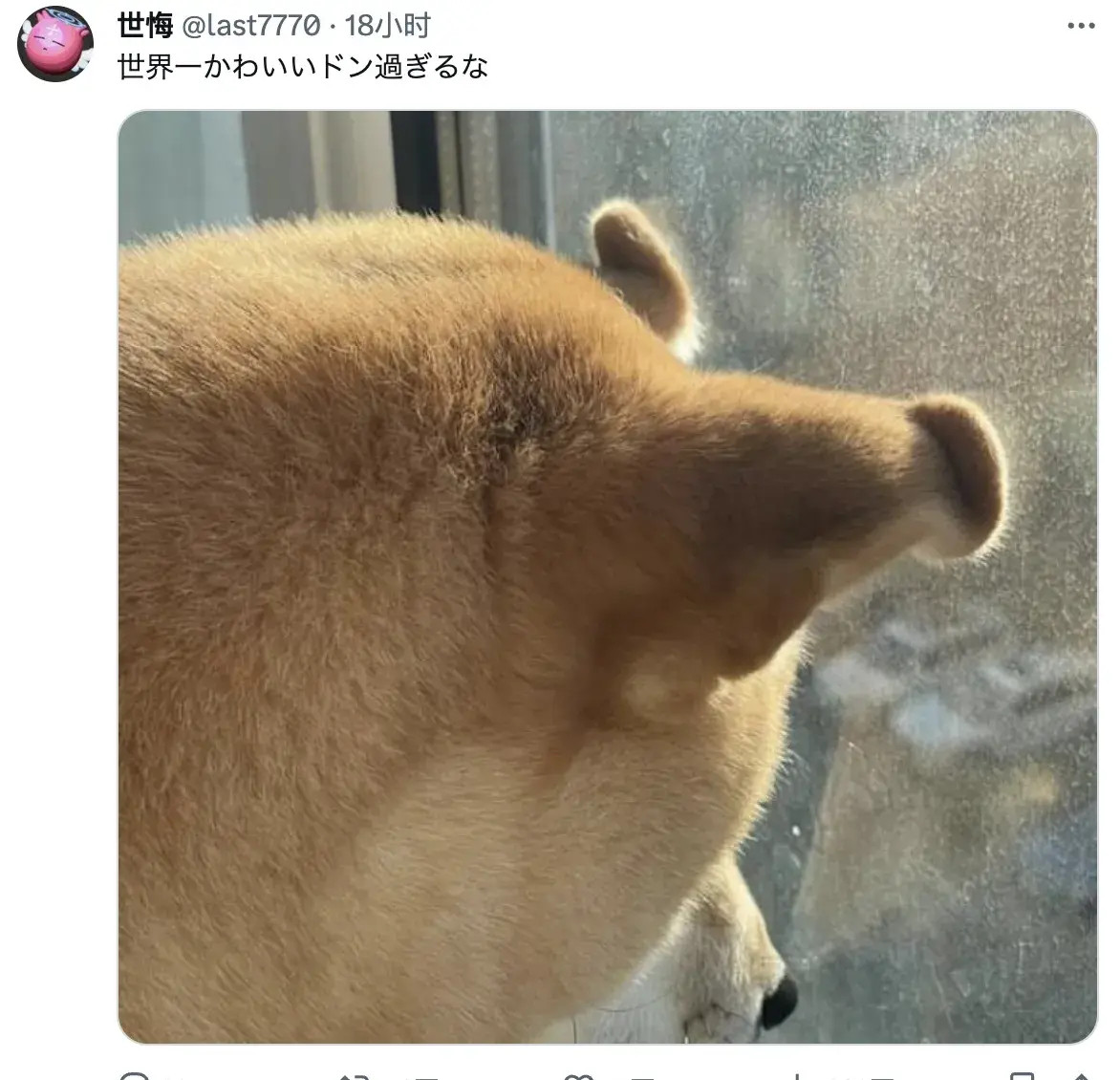 世界第一可爱的玻璃咚！​​​