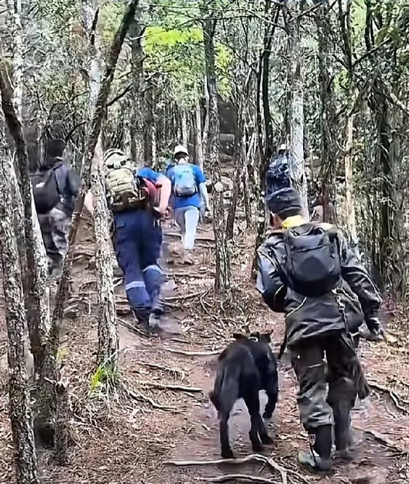 之前网上说找到带有鞋印的糖纸都是假的，福建莆田失踪的8岁小男孩还没有找到！已经失
