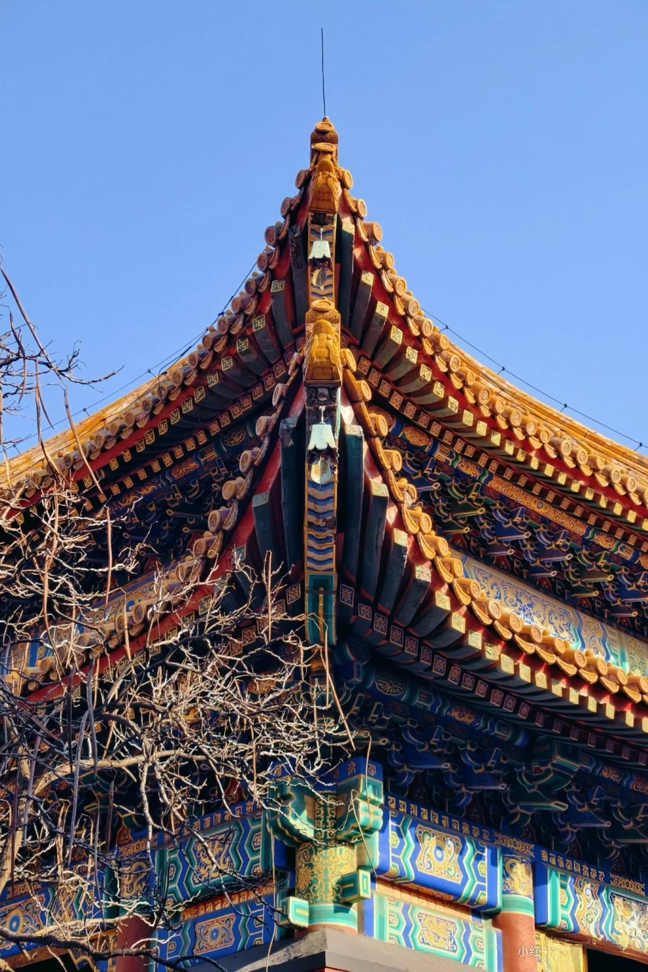 最近手欠“咔嚓”拍了张雍和宫的照片，嚯，那韵味，跟陈年老酒似的，越品越香。雍和宫