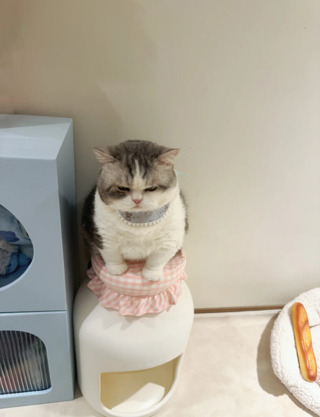 晚回几分钟就给我摆脸色