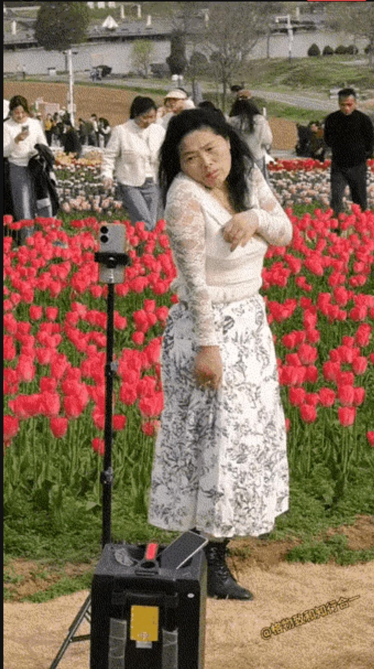 第一次从女人身上领略到了“猥琐”二字的含义。春天到了，花儿绽放，阿姨们的春心也