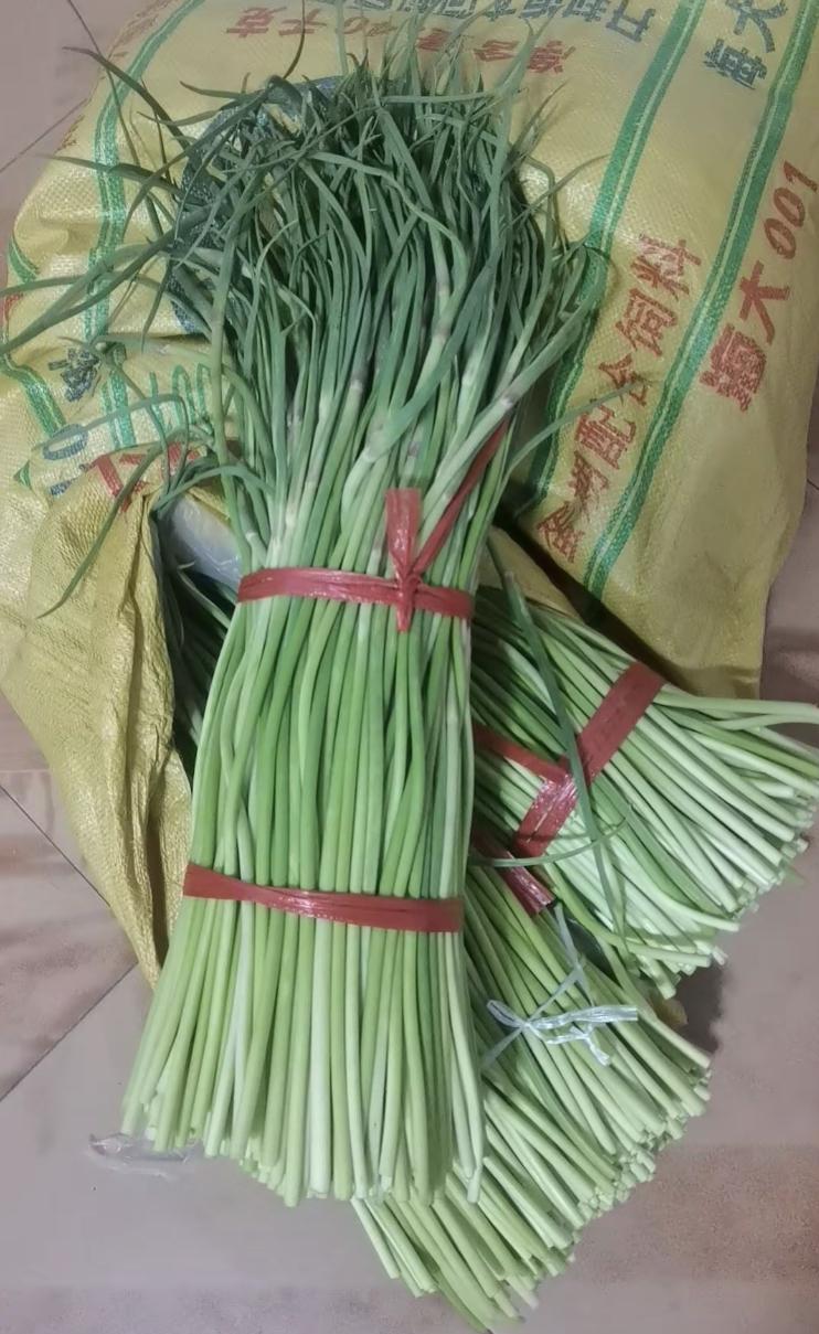 有些老人真的是越老越作！比如我妈，因为蒜薹便宜，买了100斤，买回来焯水晒好然后