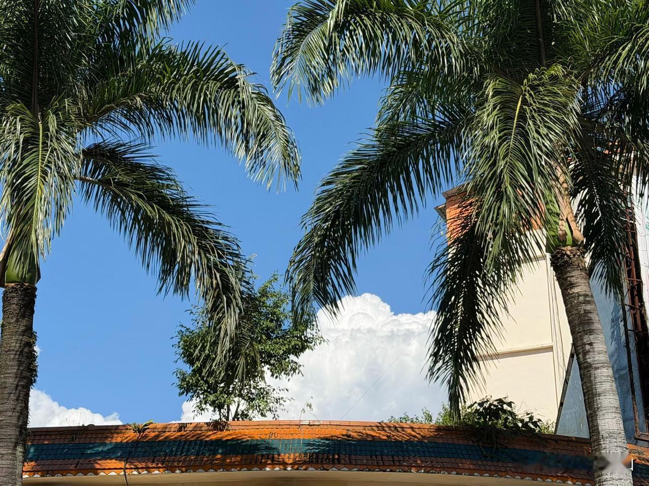 你作为单位的中层，有没有这种感觉：天天笑脸相迎，开会前问“大家有什么困难”，发奖