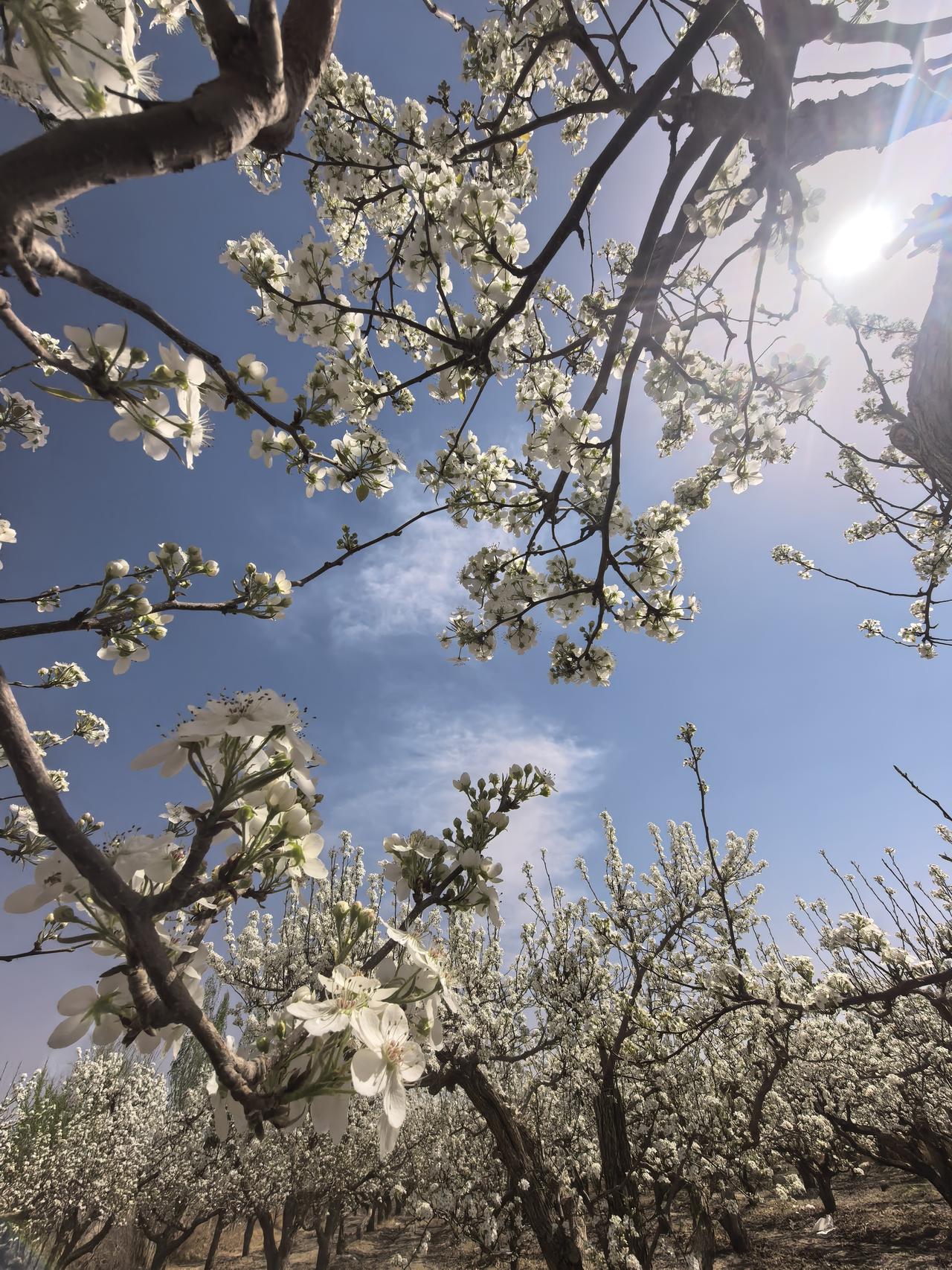 7种不良习惯悄悄偷走你的生命生活中的一些不起眼的小习惯，看似无伤大雅，却在