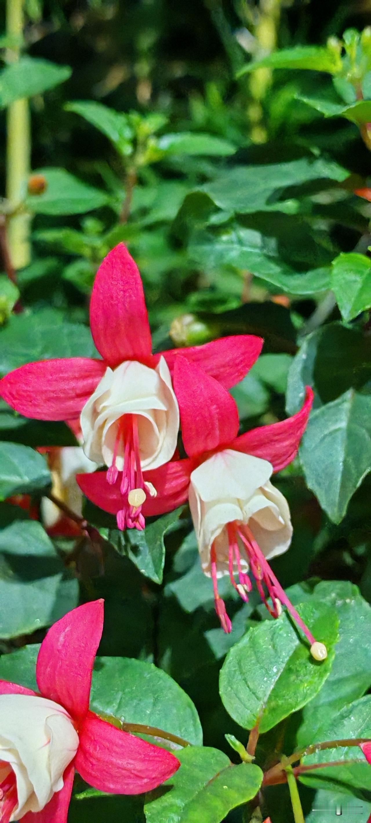 女子一年能挣20万，离异后带着10岁的女儿嫁给了年薪80万，儿子归前妻抚养的二婚