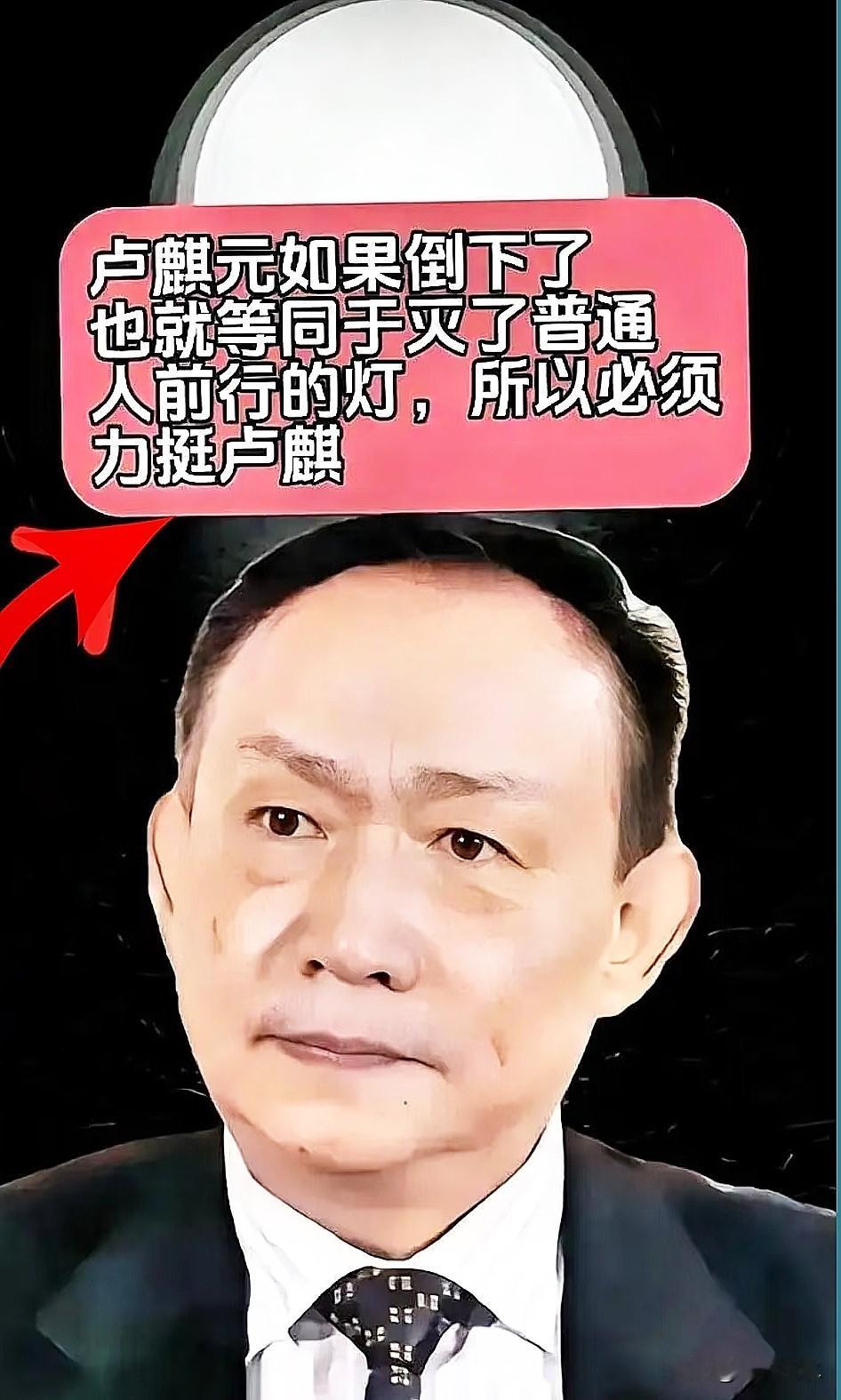 卢麒元指出，与国际接轨的核心要义，并非破坏国内产业基础，而是立足本土实际实现产业