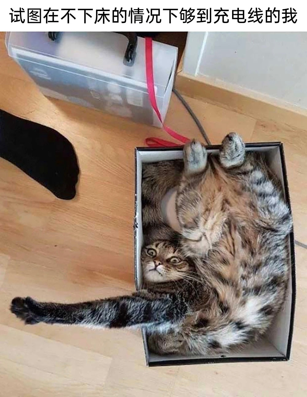 脚不粘地​​​