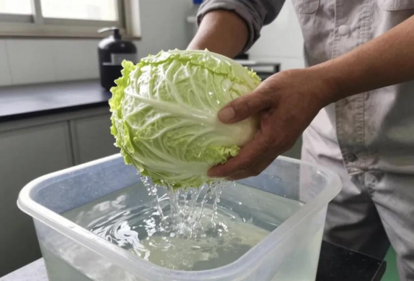从杨梅泡药水，到白菜蘸甲醛，咱老百姓的餐桌信任底线，咋就跟纸糊的一样，一捅一个洞