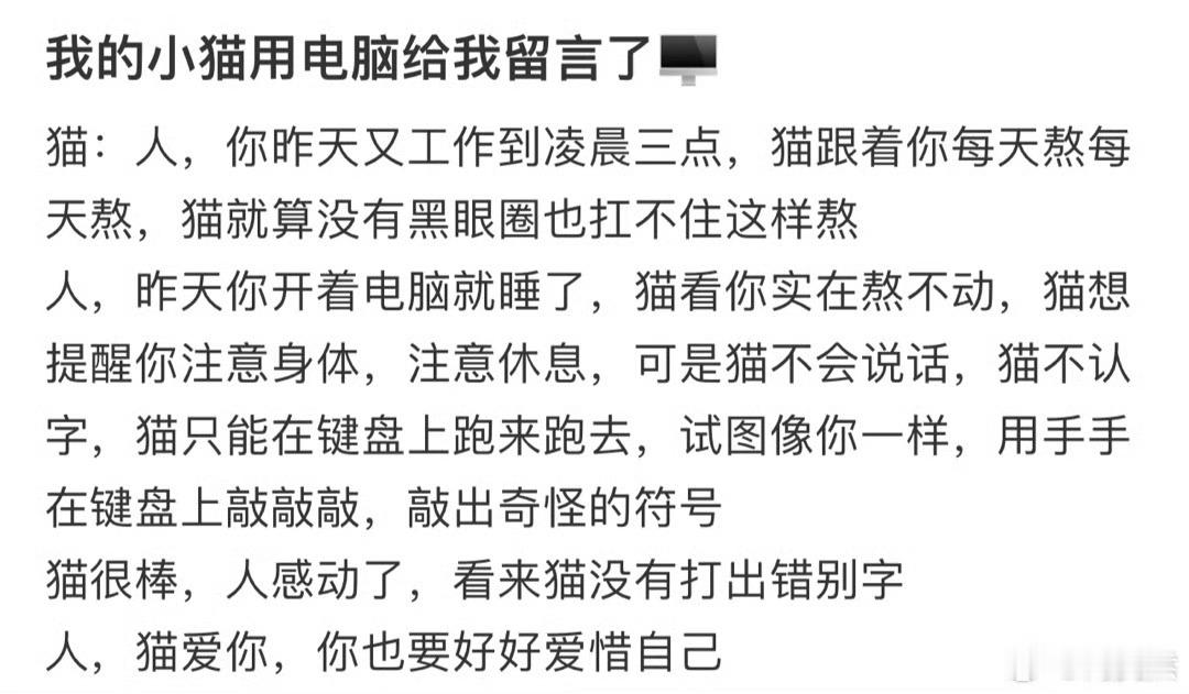 我的小猫用电脑给我留言了🖥️