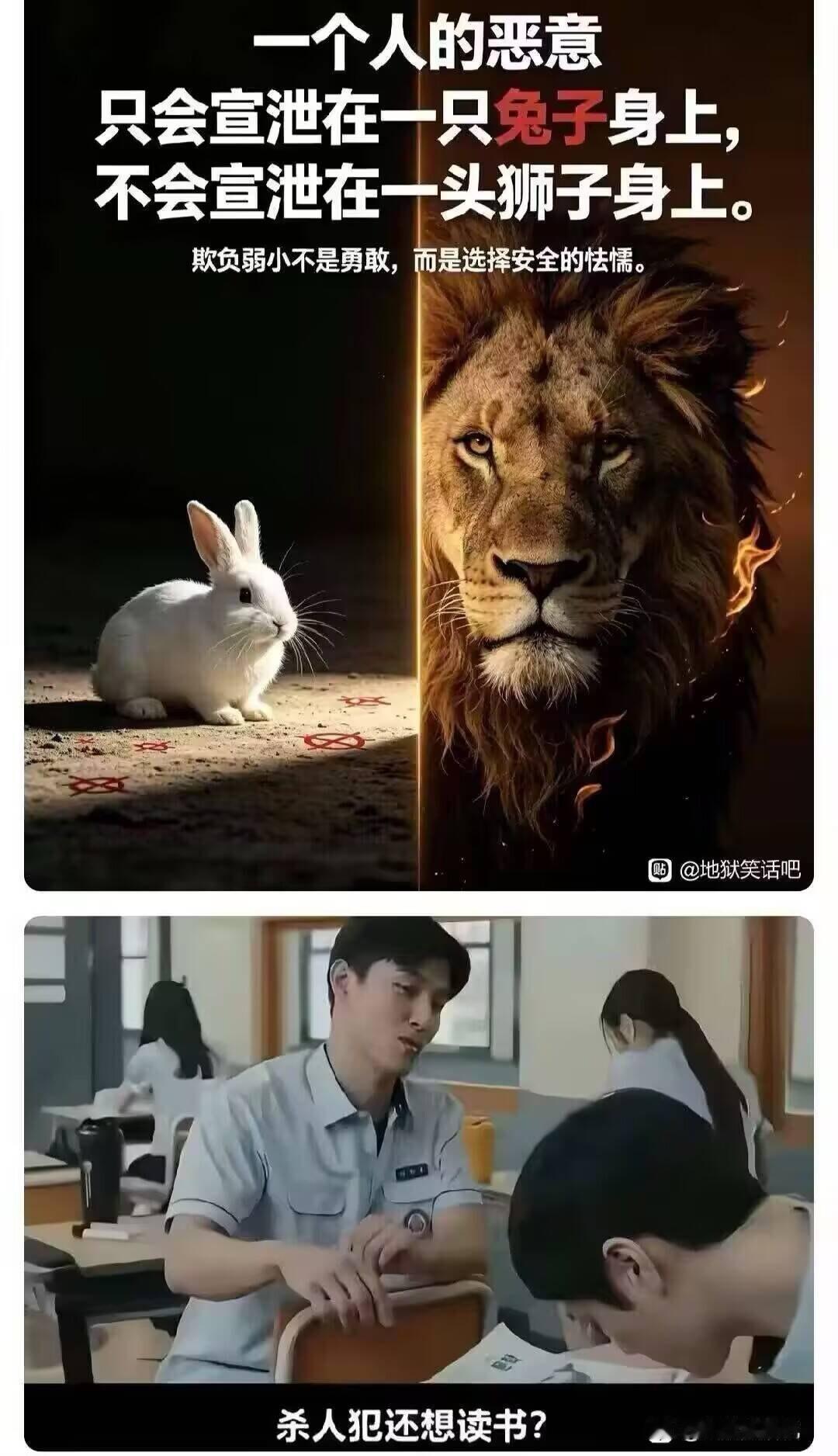 火影村村民有话说​​​