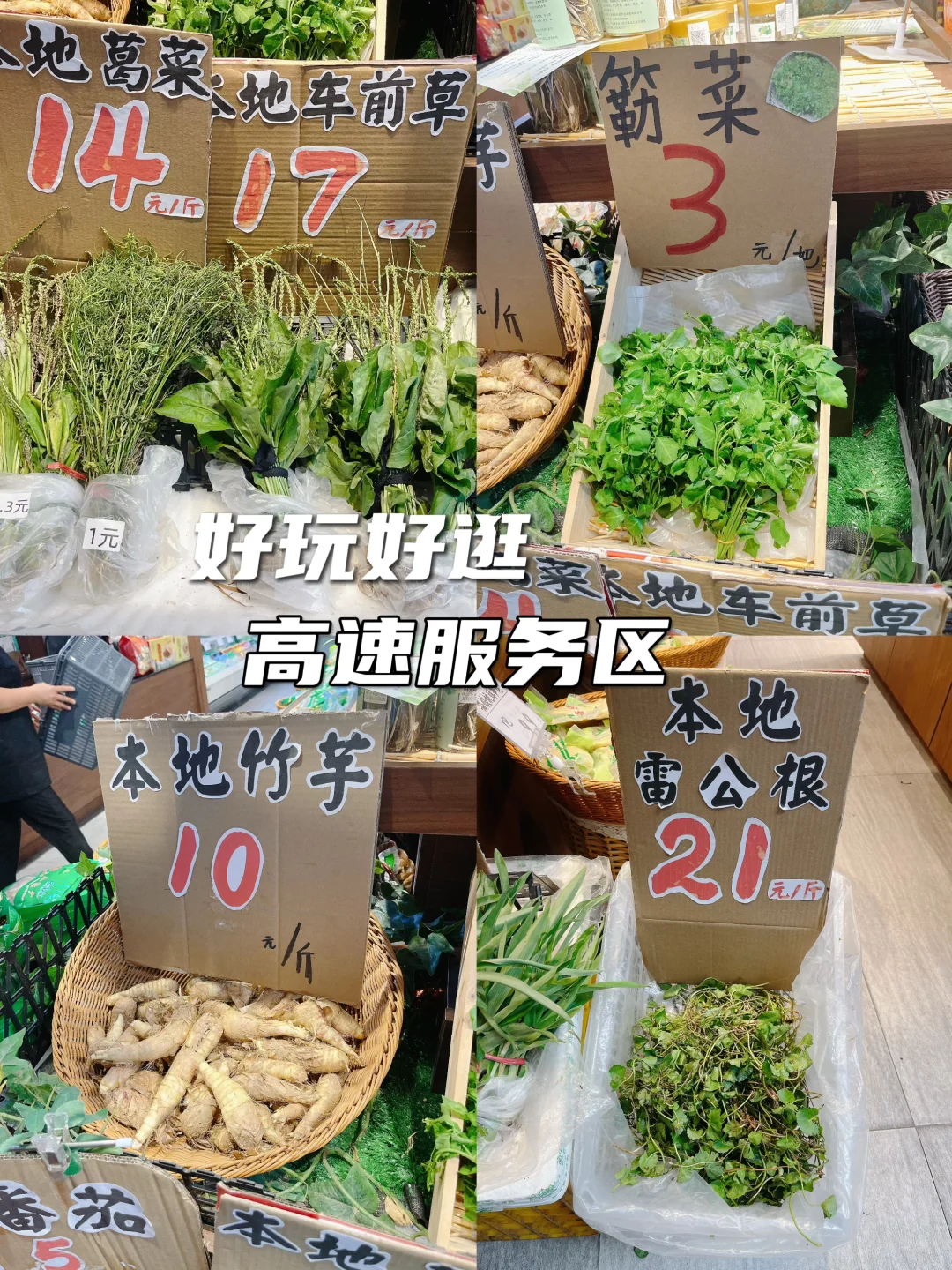 从北方到广东的躺平生活38:爱逛高速服务区