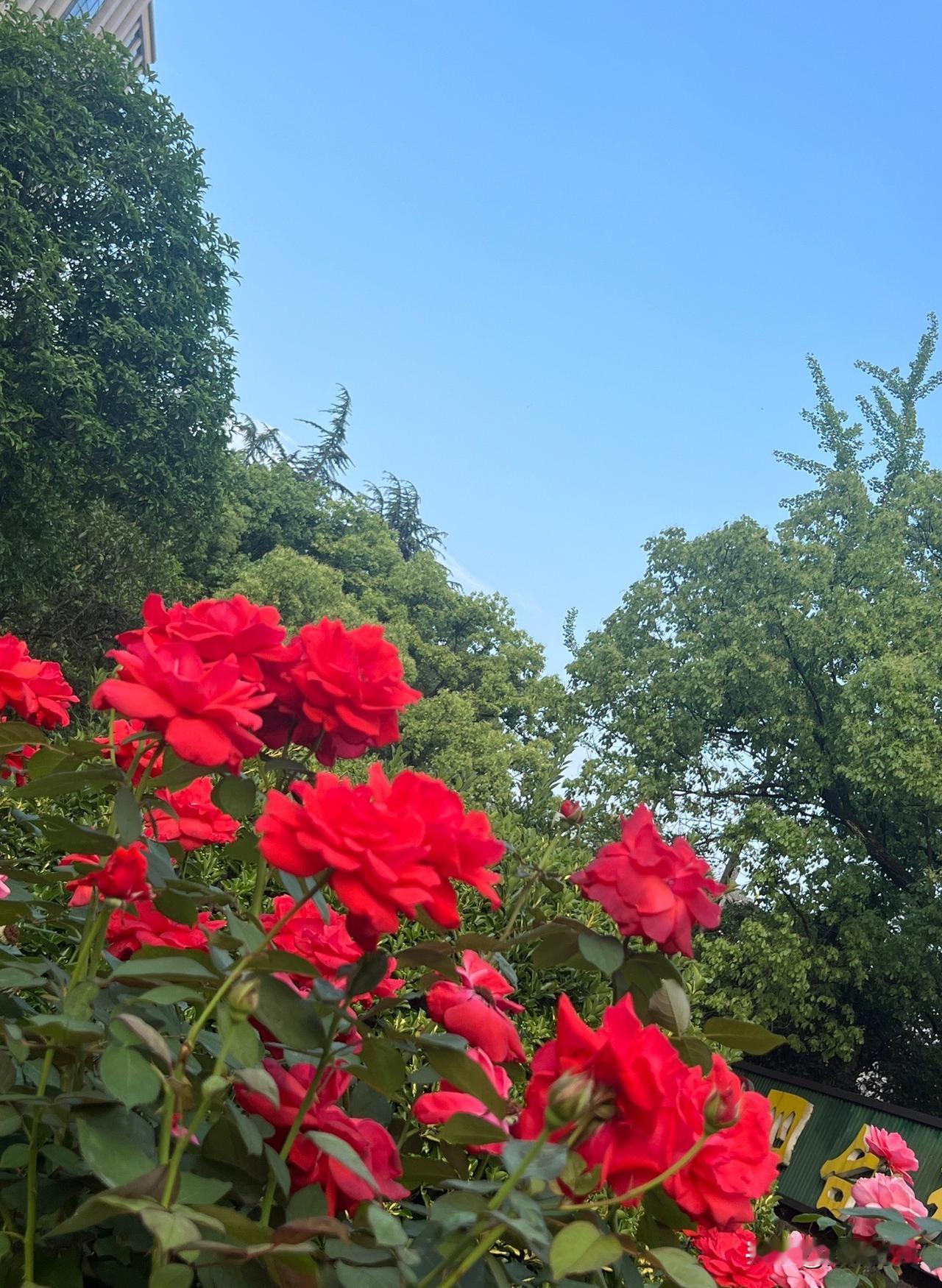 以下是发生在朋友身上的真实事情---去年春节，朋友带着女儿来家里拜年。小姑娘