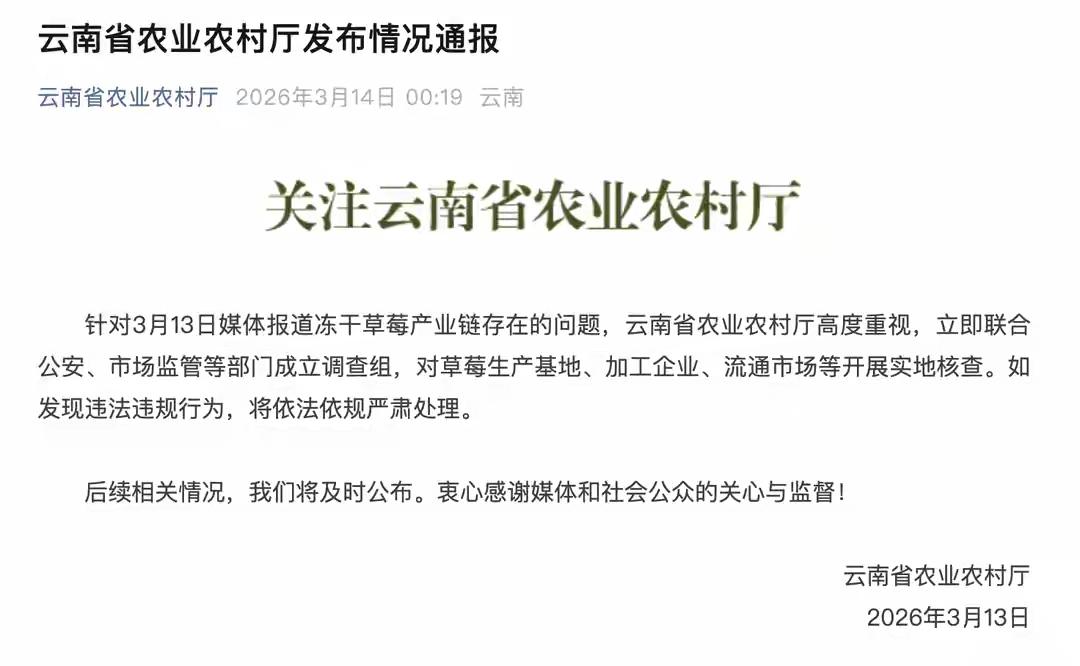 云南毒草莓闯关：层层关卡为何形同虚设？近日，云南冻干草莓农残、重金属超标事件冲