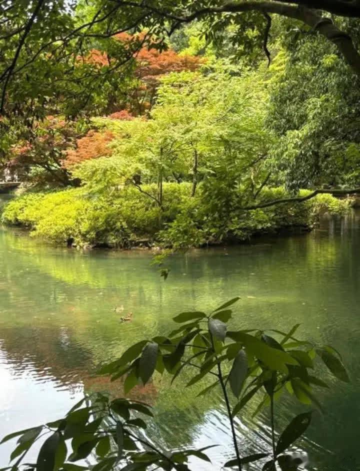 那年，窦唯给读初中的窦靖童打电话：奶奶想你，你回来看看奶奶吧！窦靖童一到家，窦唯