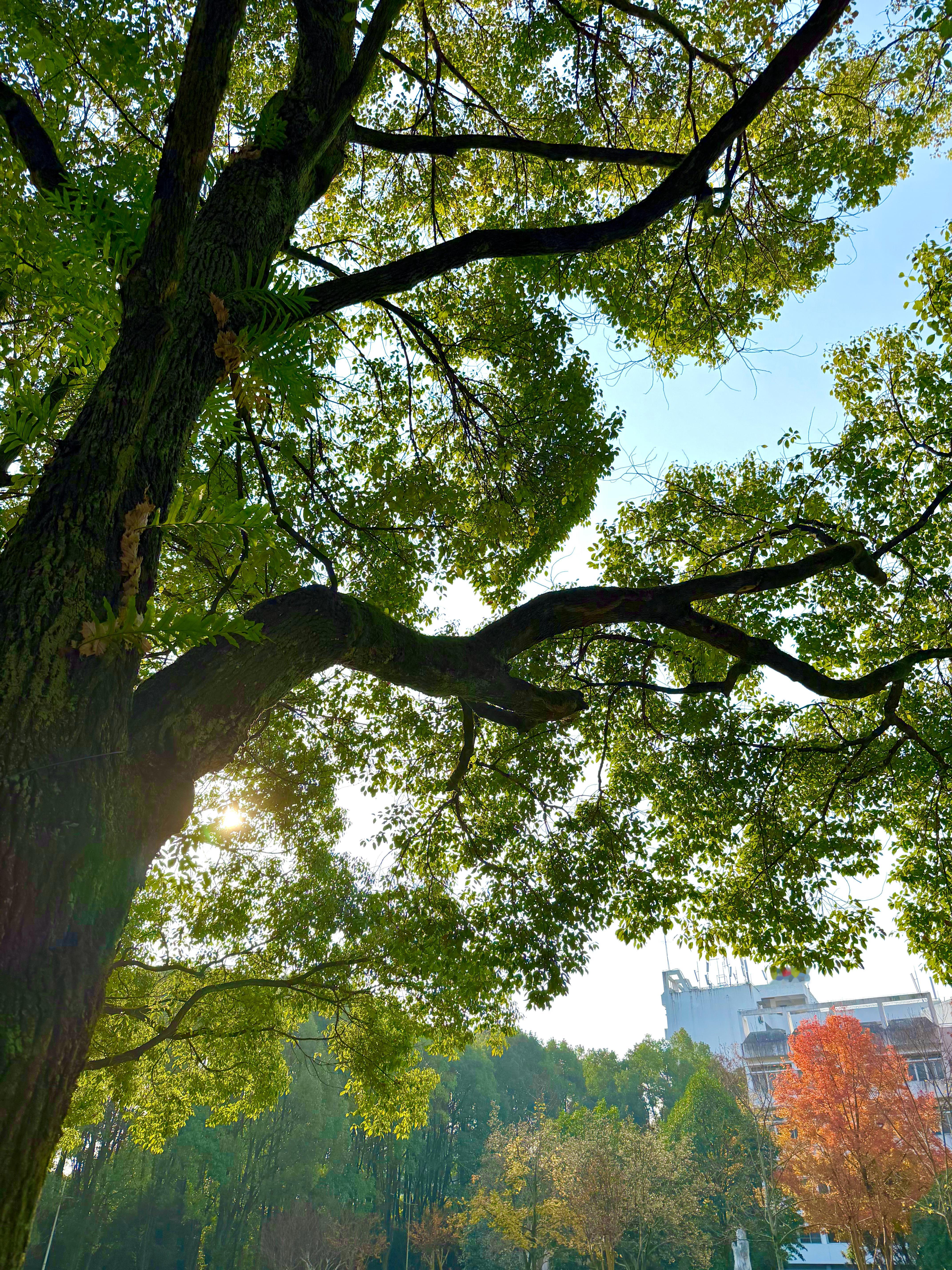 窗外的天气像你心忐忑不停
