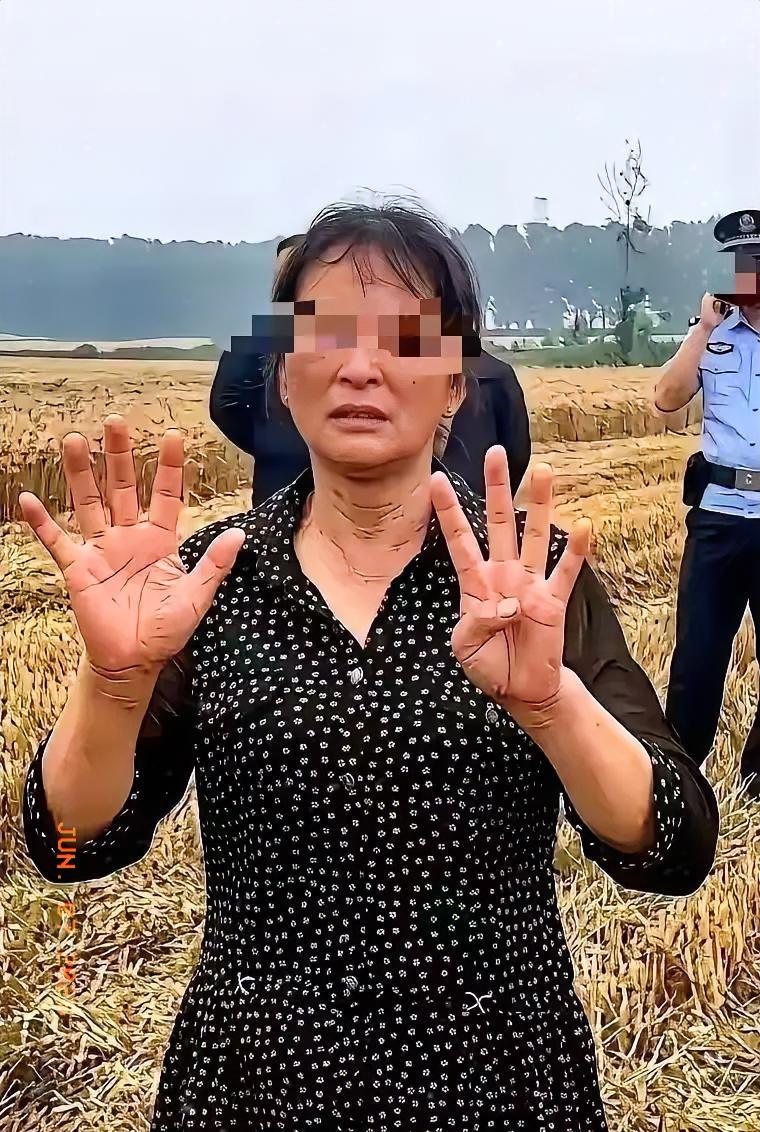 襄阳那场麦收风波，闹到最后，结局比过程更带劲。闹到最后，大妈托侄子，给河南那对