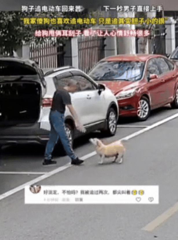 万万没想到！湖南，女子骑车回家，突然被路边狗子追，吓得女子口吐芬芳，狗子没追上，