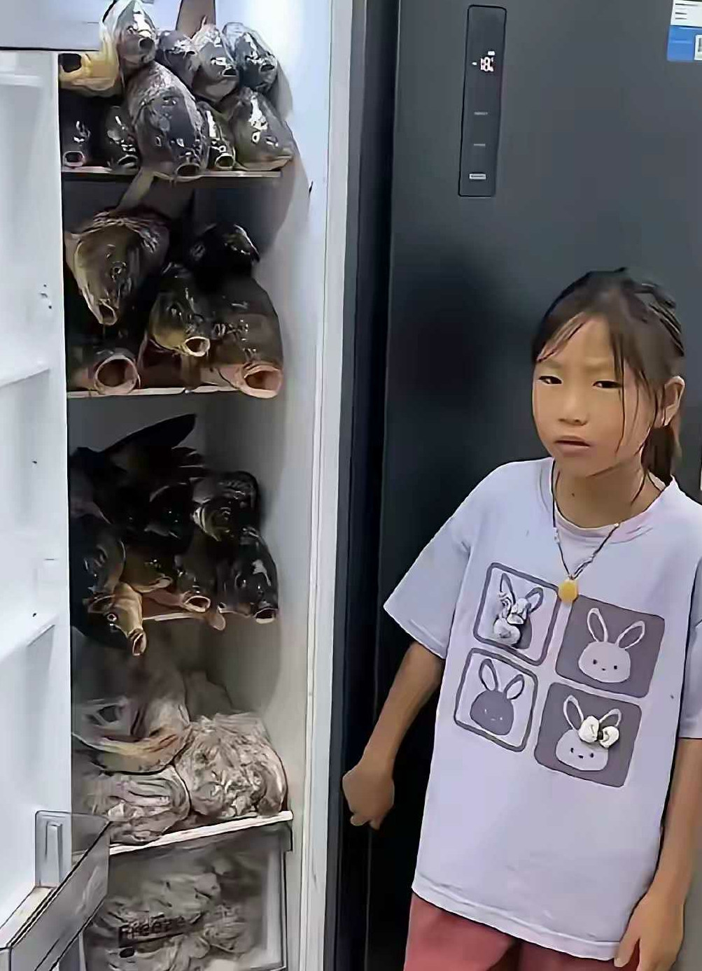 这鱼这样放真的可以么，太厉害了。
