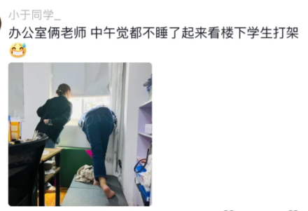 有热闹不看白不看