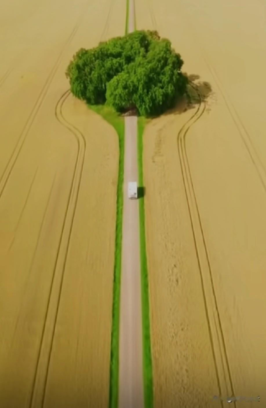 我们常误以为旅行必须肉身在场，却忽略了心灵能先一步登陆。当一段文字、一张照
