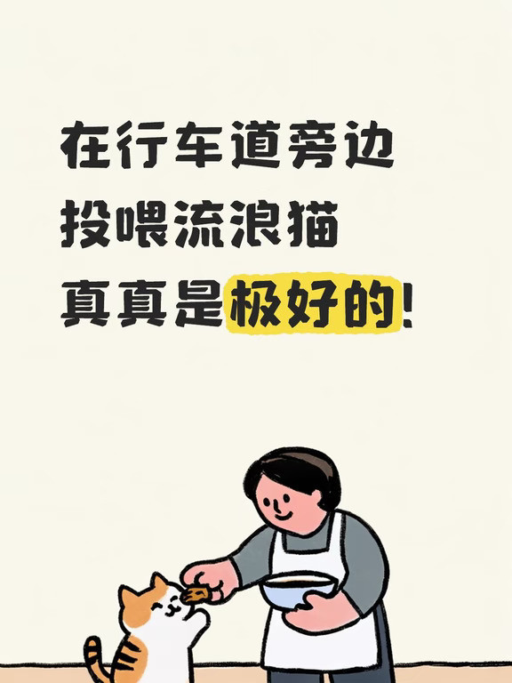 学校马路边投喂流浪猫，效果比抓来绝育好