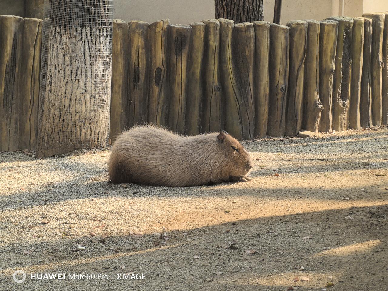 分享一下你随手拍下的照片