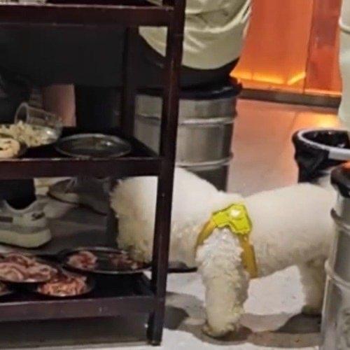 6月6日，湖南衡阳的一家烤肉店出了件让人挺倒胃口的事：趁着顾客去洗手间的工夫，一