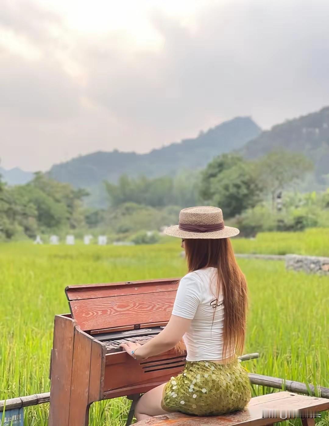 在田野间弹奏钢琴，感受自然的宁静与美好。