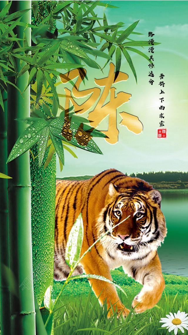 冠军：生肖虎🐯袁天罡推算：属虎之人虎：三月三之后虎：低谷全翻盘，浊气皆清