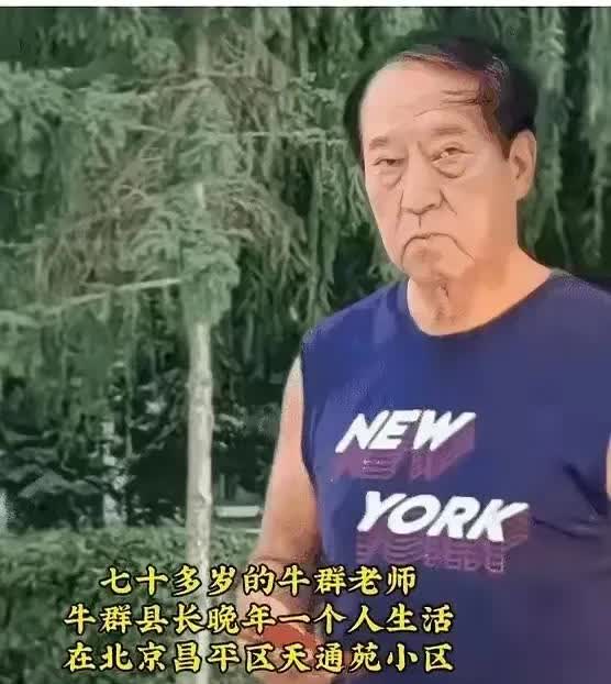 牛群说相声天赋很高，在当年红极一时，他说的相声受到观众的普遍欢迎，像姜昆，侯耀文