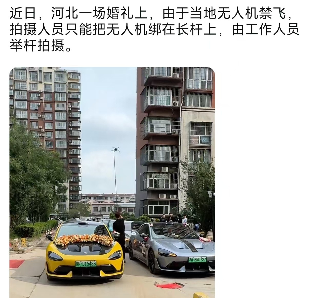 智慧无处不在[吃瓜]​​​