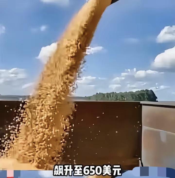这些伎俩我们5000年前就见过了!!破解巴西大豆涨价,根本不用打大动干戈,只需