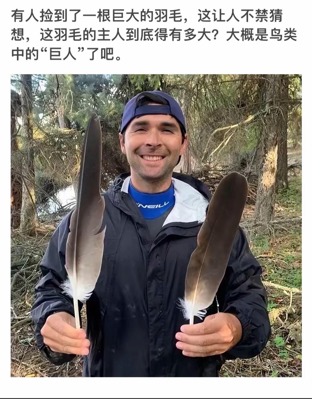 “发现巨型羽毛！谁才是鸟类中的巨人？”🦅👨‍🦰