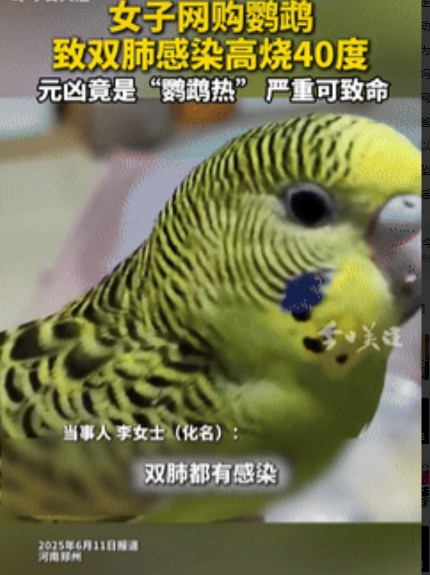 “倒大霉了！”河南郑州，一女子花50元在网上购买了只鹦鹉，没想到，收到货后的女子