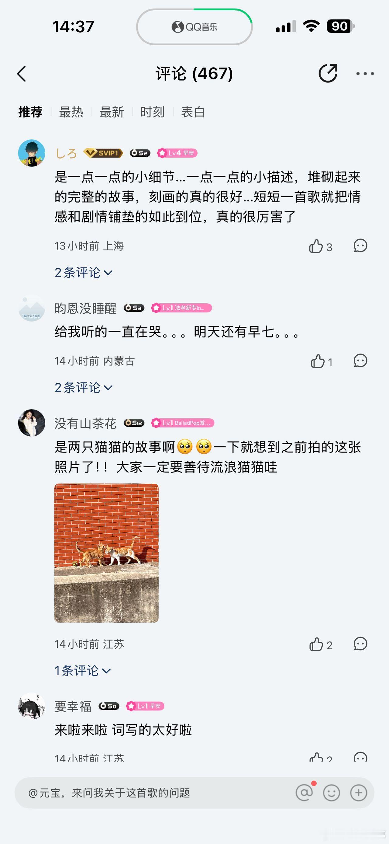 原来早安的新歌是写给流浪猫的早安用《踏雪》唱尽了流浪猫的心酸，温柔的前奏像雪花