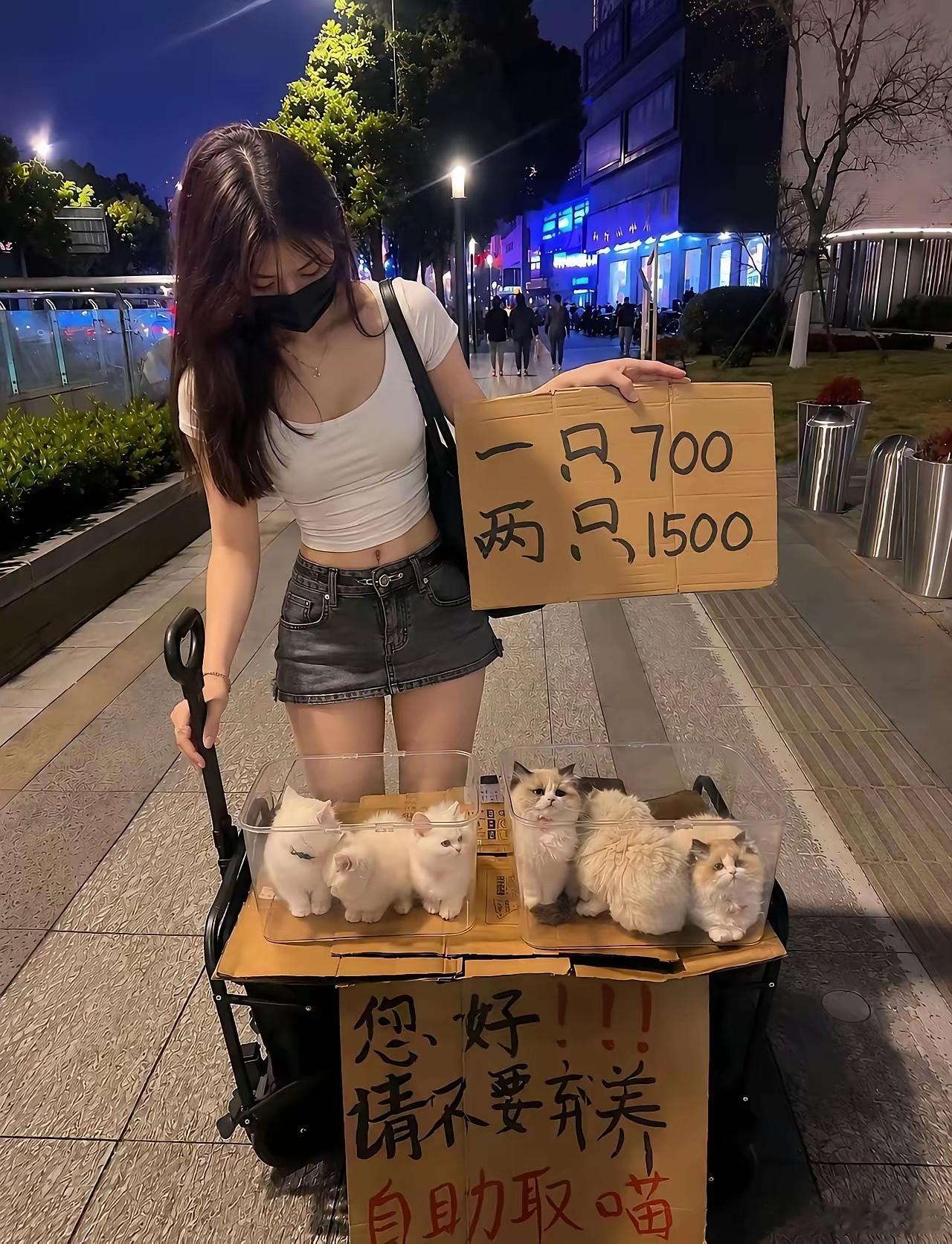 请问全要需要多少钱？