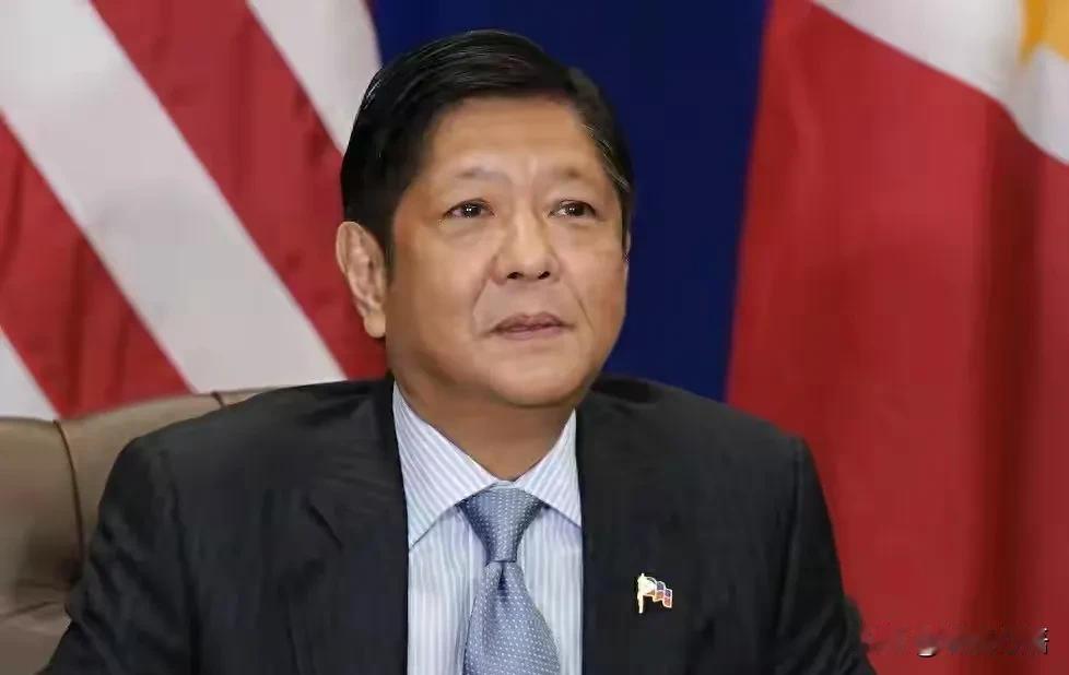 马科斯这回可真是“踢到铁板”了！试图借司法之手打压杜特尔特盟友、前空军将领波基斯