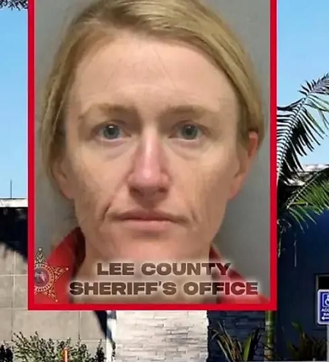 美国佛罗里达州的一位女士，在对话框里向AI倾诉“秘密日记”，结果这篇“日记”直接变成了送她进监狱的呈