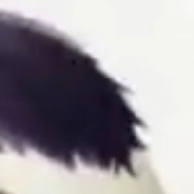每一个人都可以成为生活中的阳光。用我们的微笑、用我们的善良、用我们的热情去温暖这