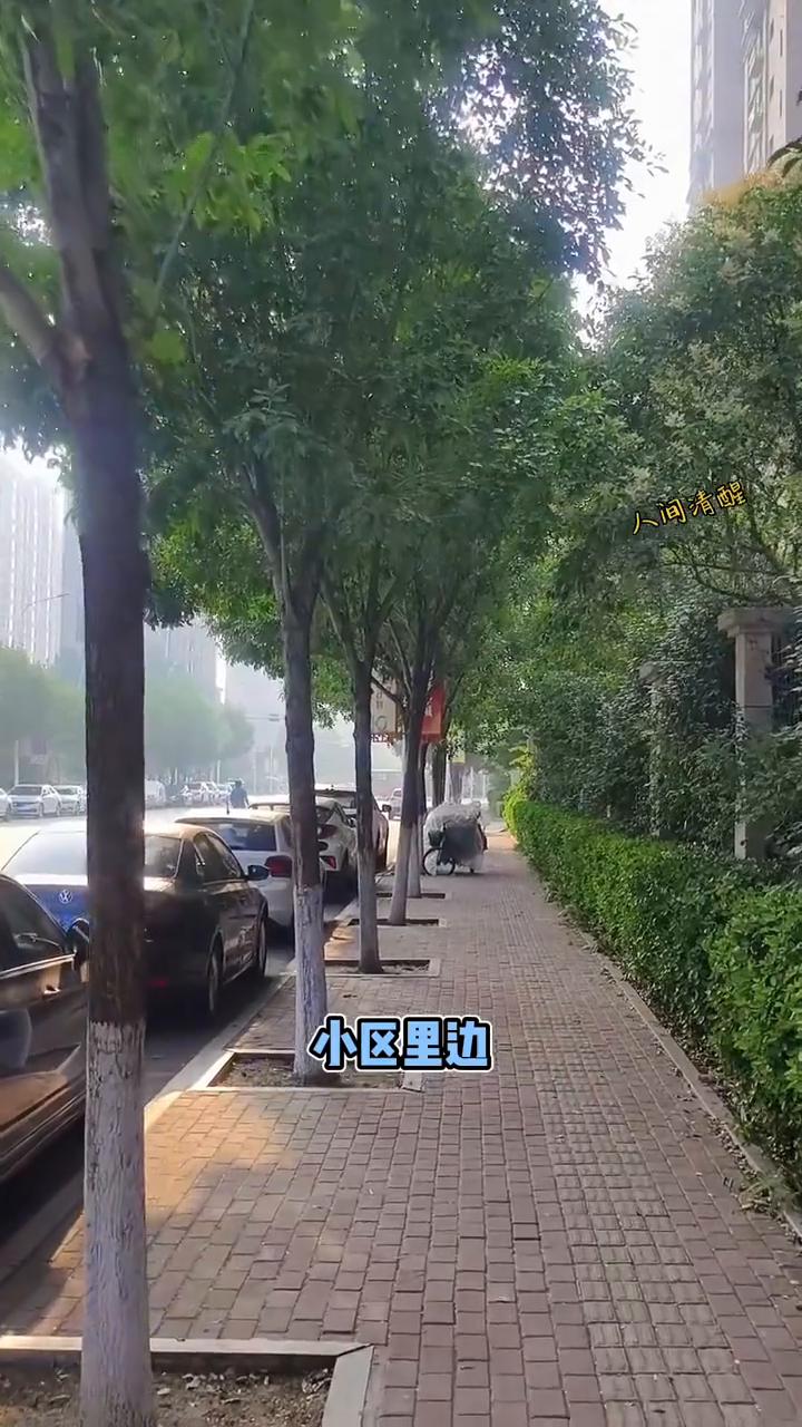 人间清醒。我真的是发现一个特点，好多开奔驰、宝马的估计是买的二手的，这帮伙计们