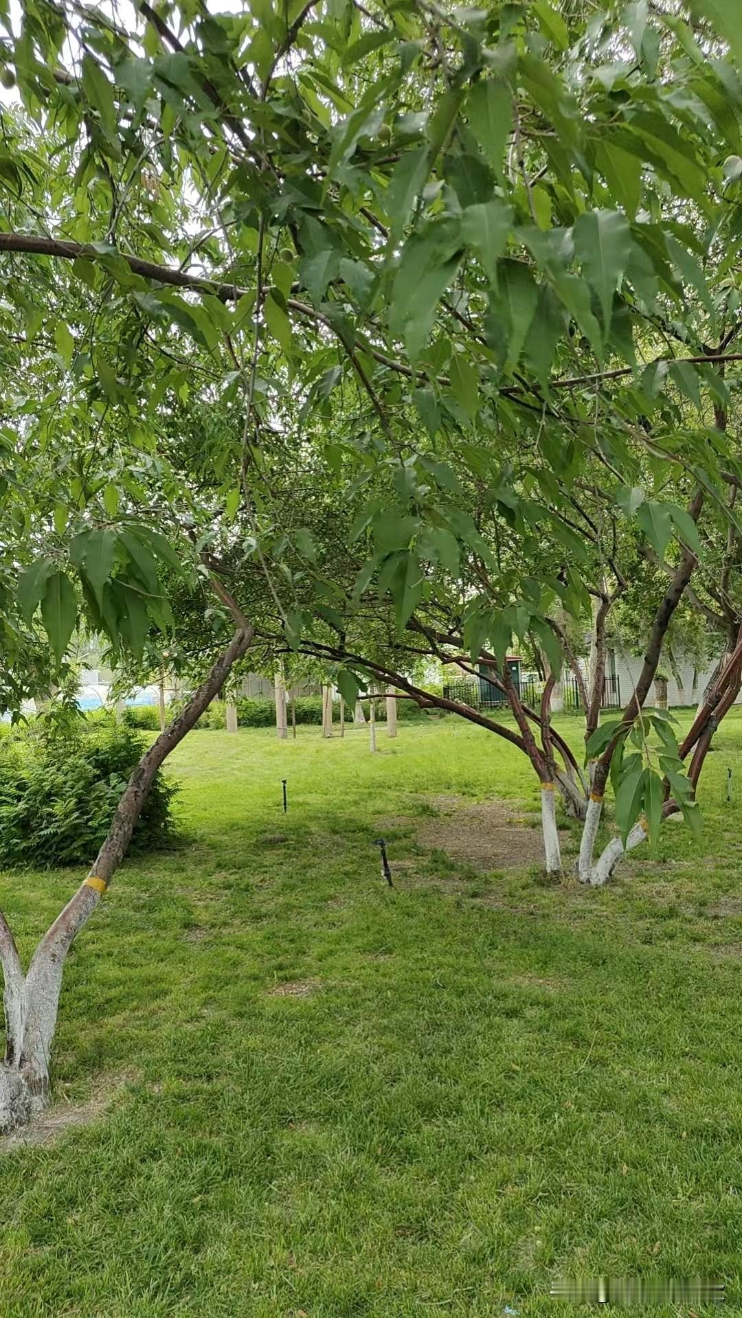 我和前夫结婚22年，因为我们三观不合，最后选择了离婚。自始至终，我都没有去过