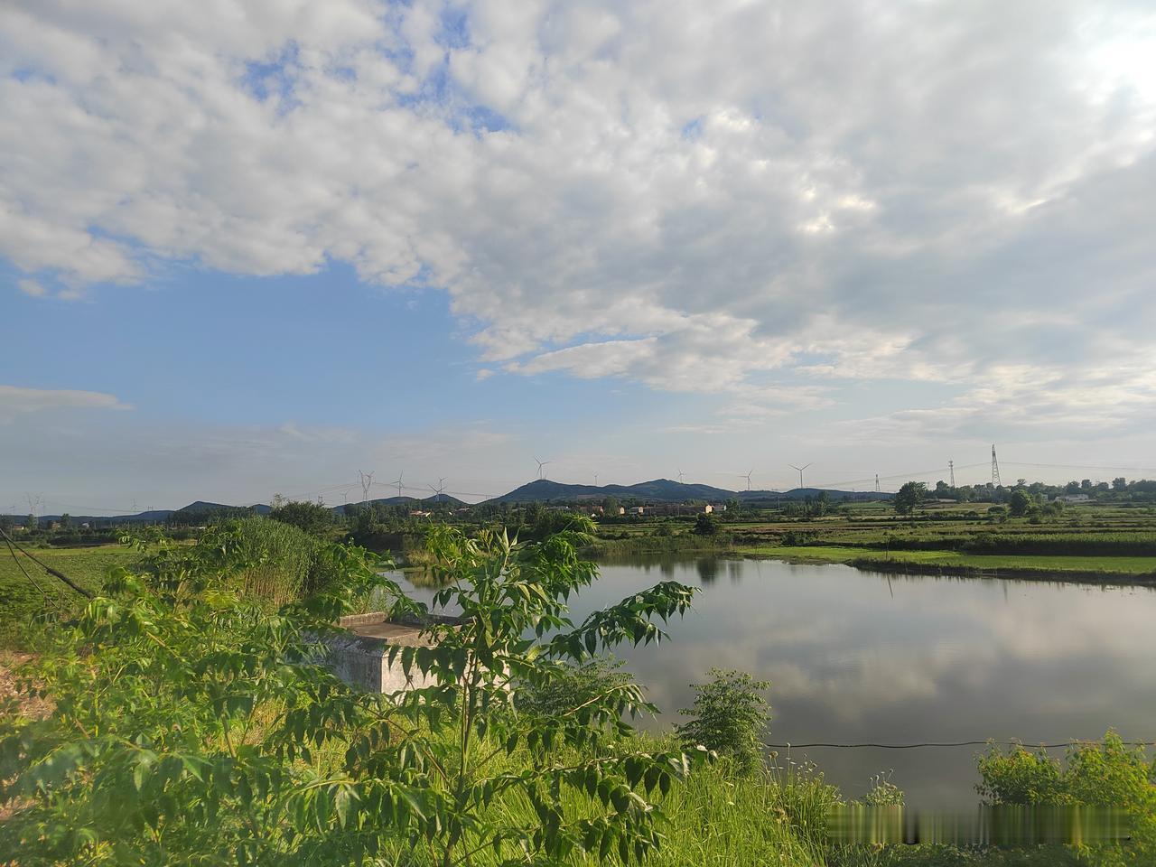 端午去老丈人家，拍的田园风光，静谧美好，感受大自然的宁静与和谐。