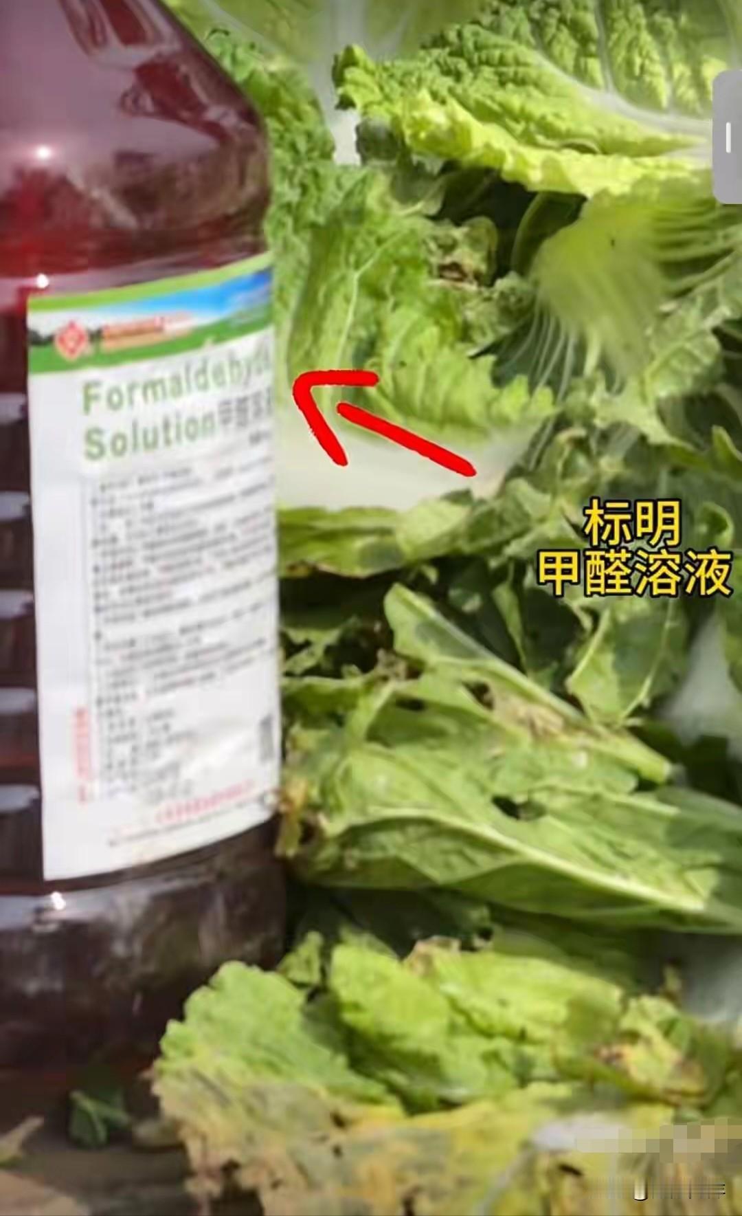 雪崩的时候，没有一片雪花是无辜的。河北张家口康保县"甲醛白菜"事件曝光