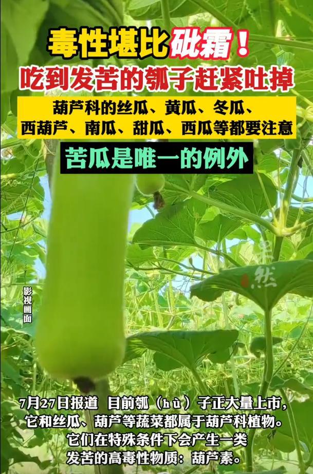 发现马上扔！福建福州，一男子购买了3根葫芦瓜之后，发现有一根味道有些发苦，然而就